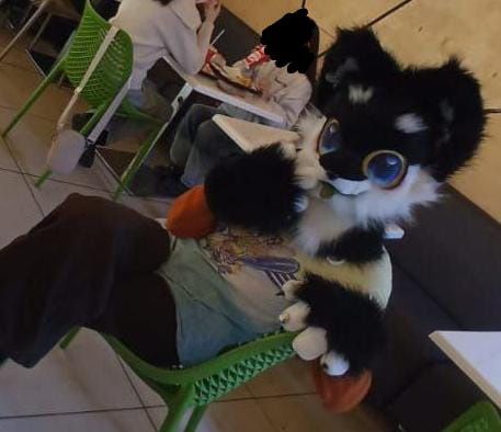 фурсьют хаски,  фурри