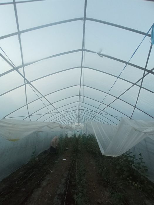 Теплица сотилади 25-7