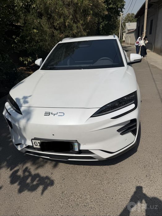 BYD chimpion smart