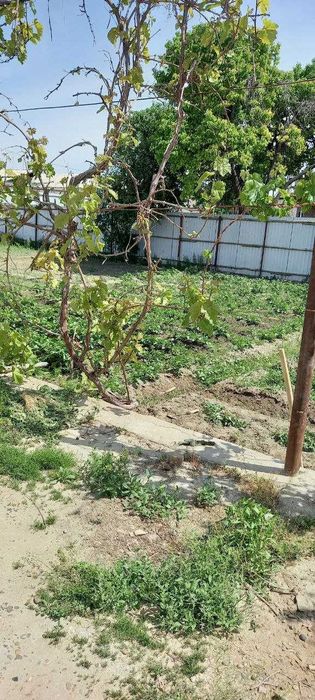 Buxoro, Kogon tumani Yangihayotda 12 sotohli uchastka sotiladi