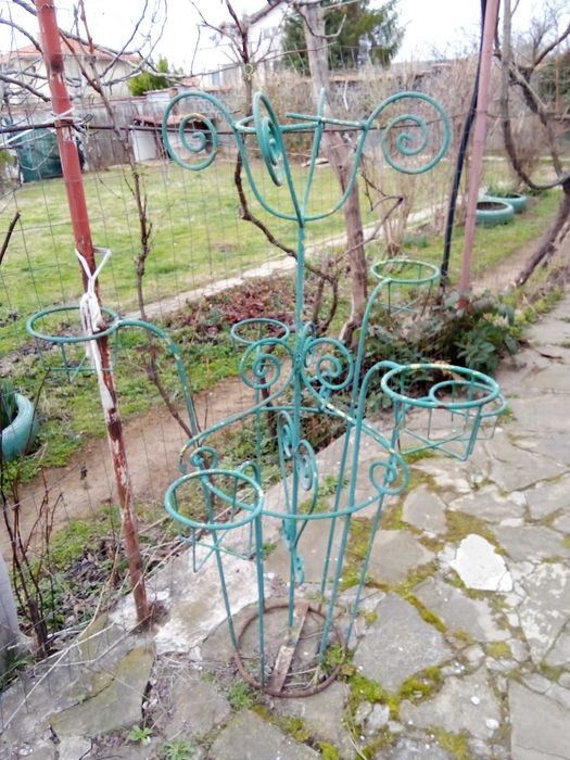 Распродажба саксийни цветя