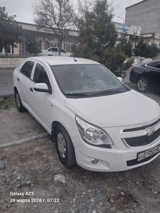 Кобилт ранги оқ сотилади