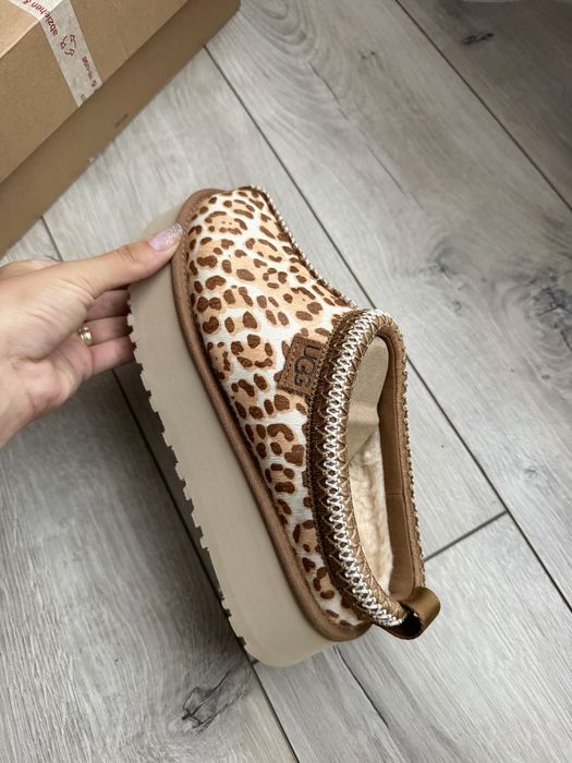 Ugg Tazz 38 , noi