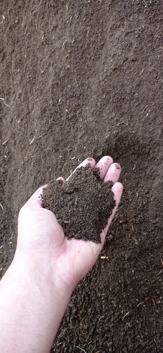 Biogomis sotiladi ( 1-сорт ) elankdan õtkarilgan. Sifatli maxsulot.