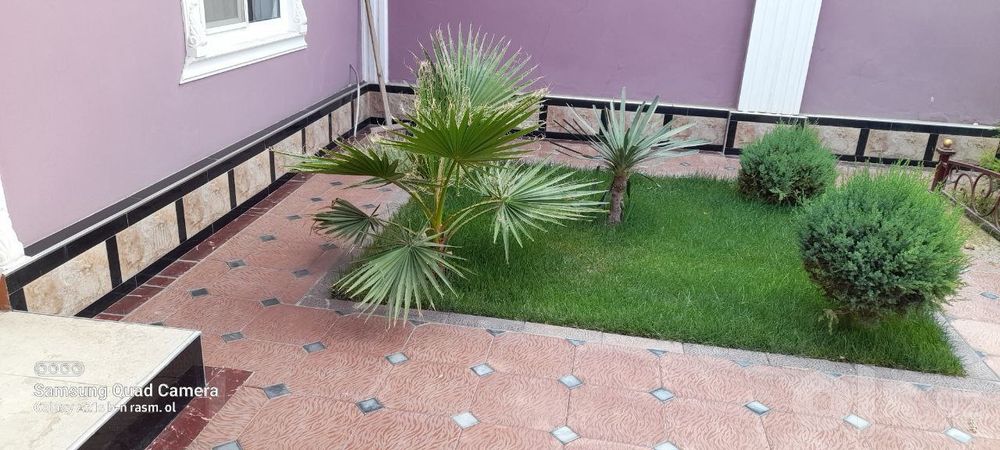 Газон Ланшафт Палив хизматлари уйигизга ёки офисга тақдим этамиз
