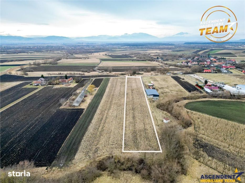 Film! Teren de 5.800 mp, Dobolii de Jos, Covasna