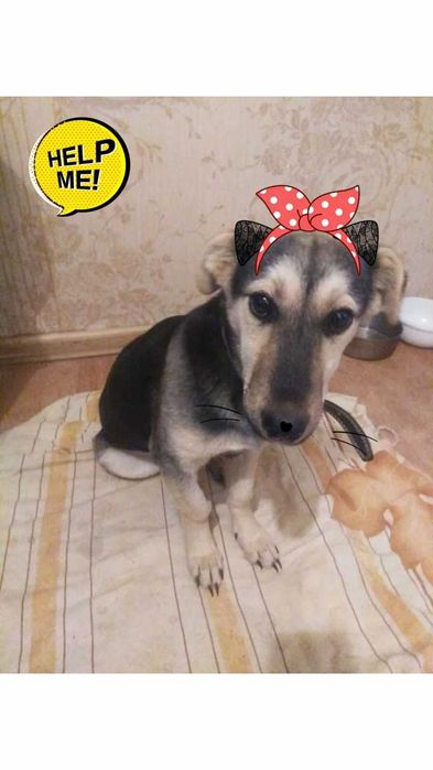 Zara, 6 месяцев, такая умная