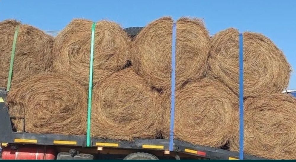 Рулон шөп сатылады