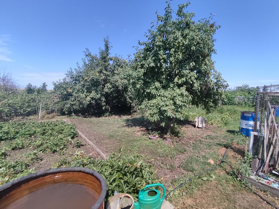 Продается дача, Сады1