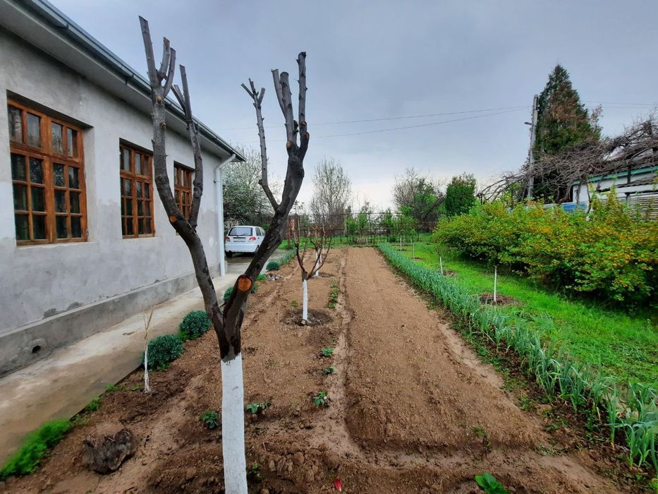 Продается дача в Янгиюльском районе