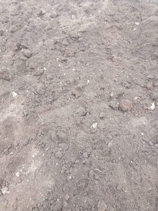 Биогумус Оптом Недорого!