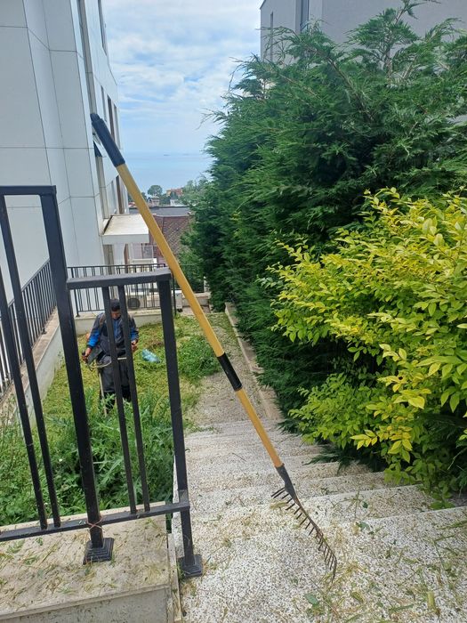 Косене на трева.Почистване на дворни места от храсти,дървета