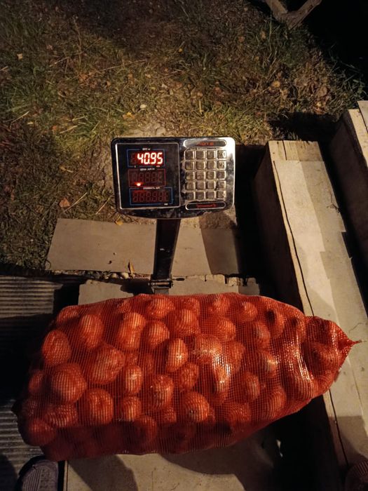 Картошк Нарынкол