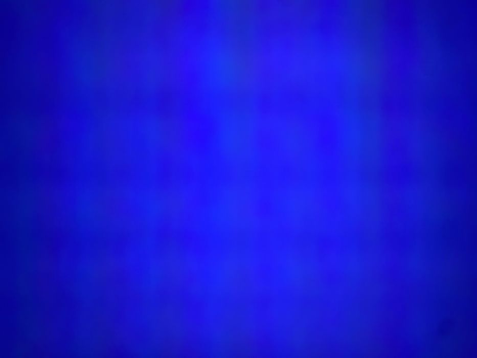 Сено житьняк сухое без гнили