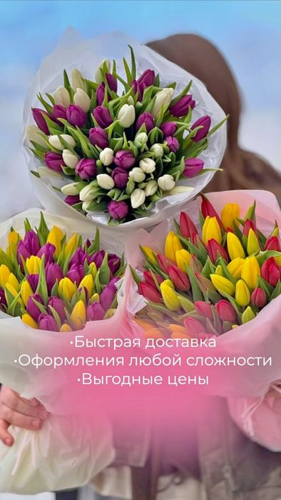 Тюльпаны + упаковка на 8-Марта