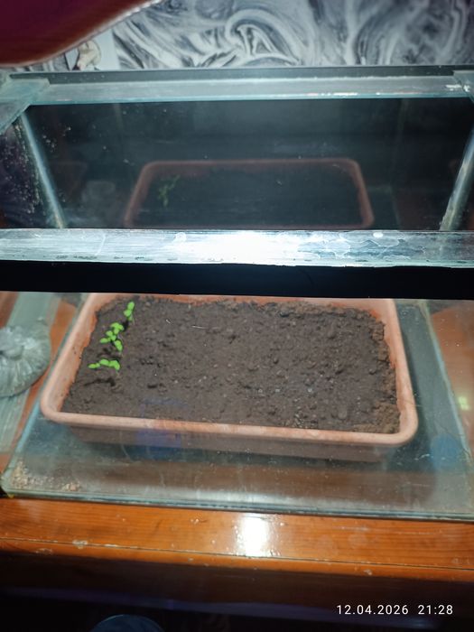 Продам аквариумы