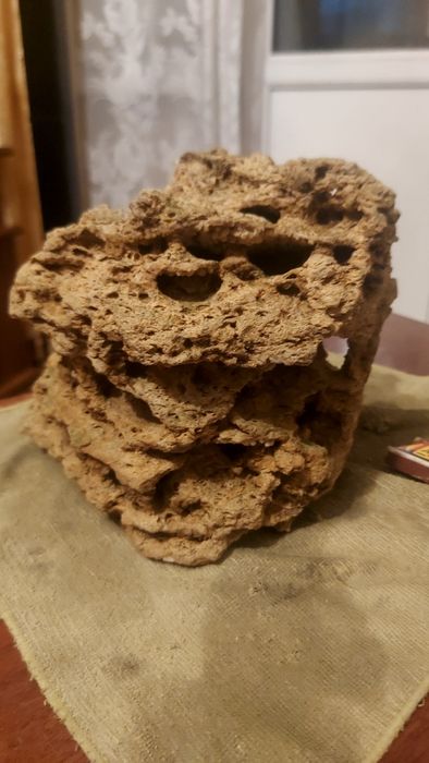 Аквариумное растения