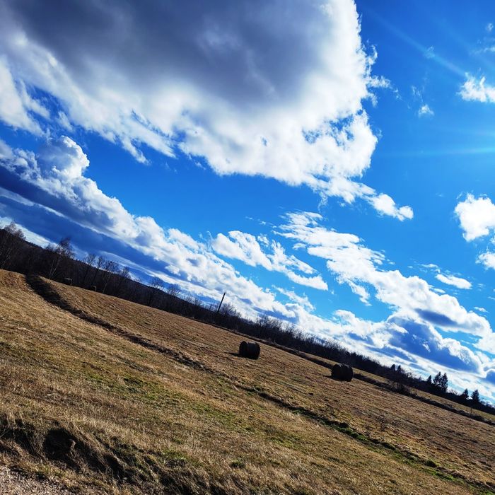 Vacanta de vara  tabără copii