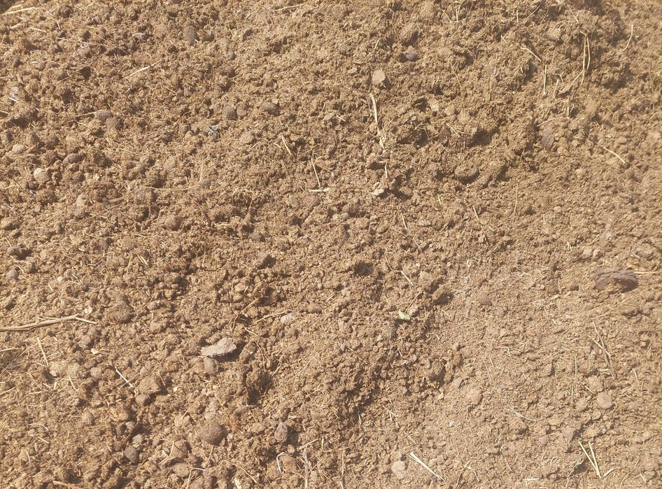 Навоз конины и коровы