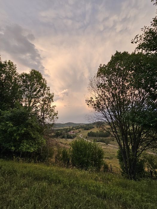 Casă de vacanță cu teren 4000 mp -  Provita de Sus