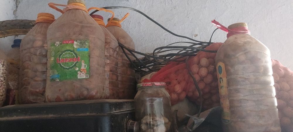 urik bakalashkaga solingan qurti yuq toza  yong'oq sotladi 10klo