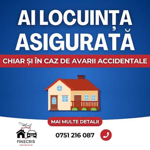 Python Software Development, Magazin online Constanta, Landing Page