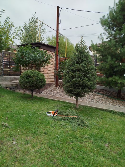Стрижка деревьев