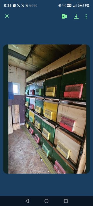 Pavilon apicol cu 80 de lazi