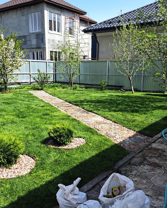 Газон, рулонный и посевной