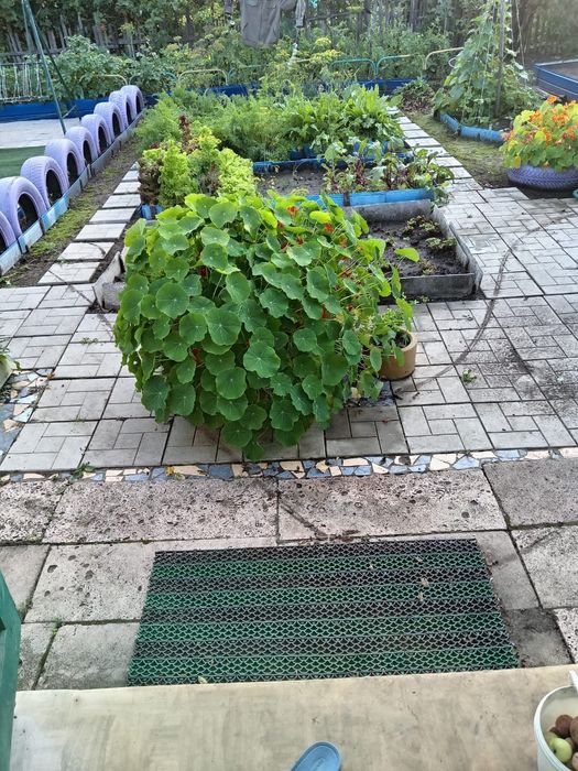 Продам ухоженную дачу