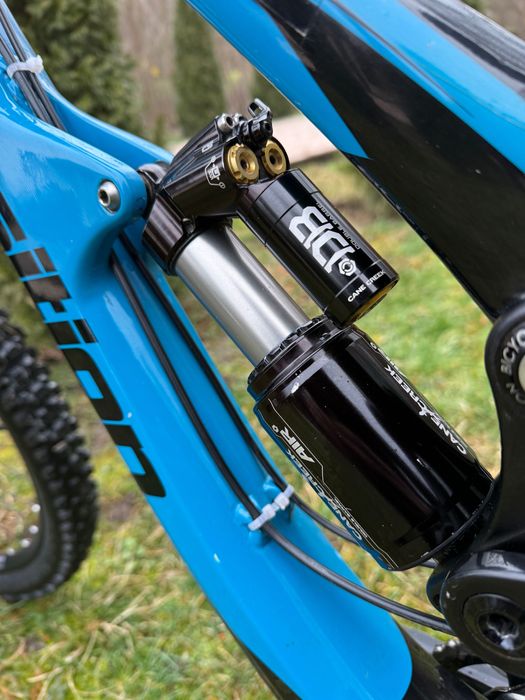 Transition Tr11 L (mullet)