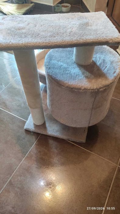 Котешка катерушка