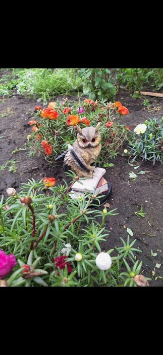 ДАЧЯ район Тёплого канала