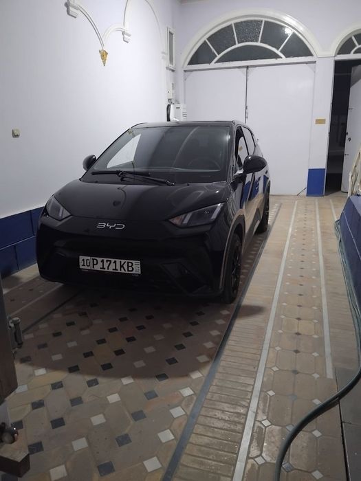 BYD seagull kraskasi yoq