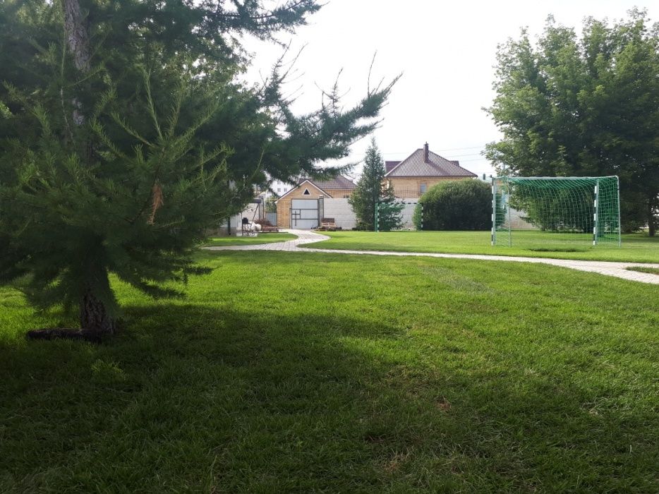 Газон рулонный (дерн) живой