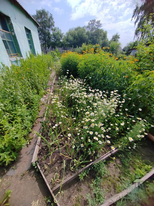 Продам дачу 17 маршрут 1 общество