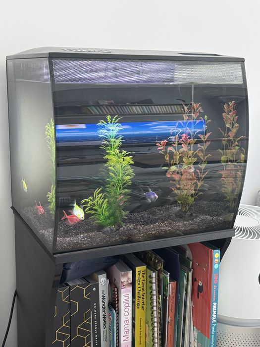 Acvariu 60L Fluval