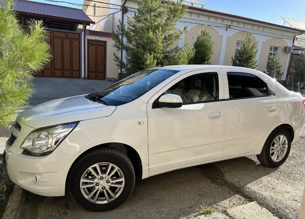 Продается кодальт 2025 года