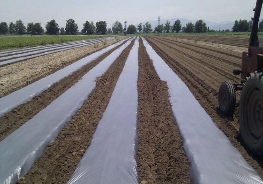 Мулч-Висококачествено найлоново фолио за мулчиране