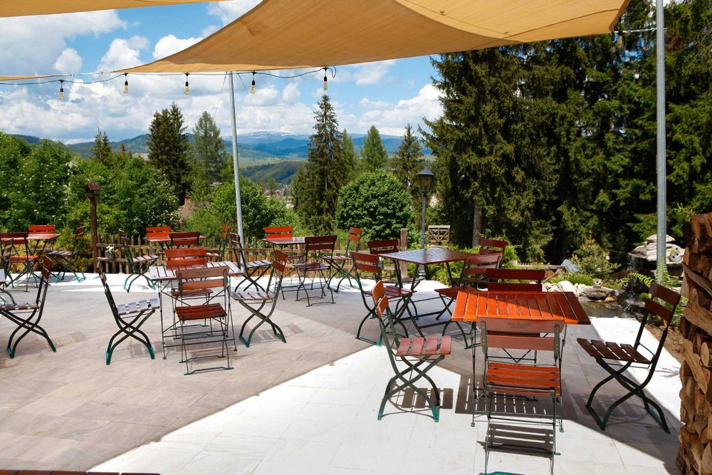 Oportunitate de Investiție – Afacere la Cheie: Cabană și Restaurant în Toplița, între Pârtia de Schi și Ștrandul Banffy