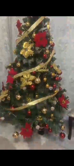 Ёлка продам высота 210 см
