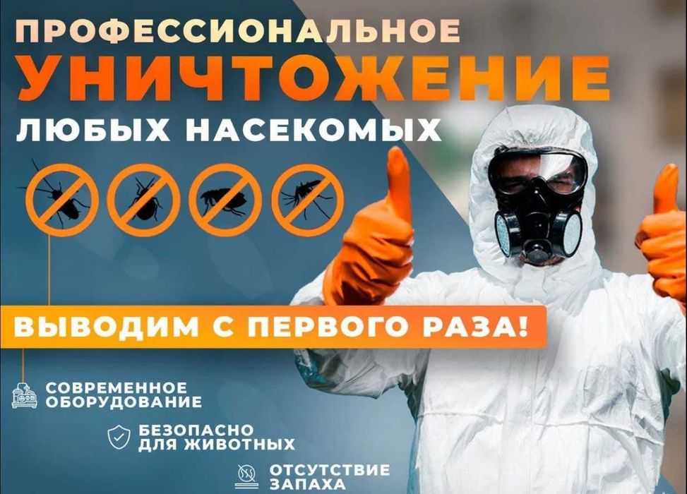 Dezinfeksiya xizmati Дезинфекция Уничтожение тараканов клоп крыс мышей