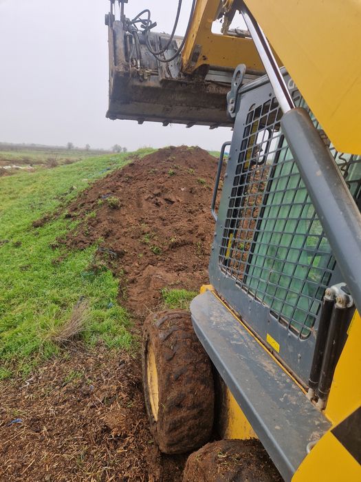 Gunoi putred bovine vechi de aproximativ 10 ani.Mrarita.