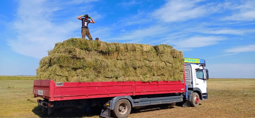 Манипулятора, эвакуатор, автовышка