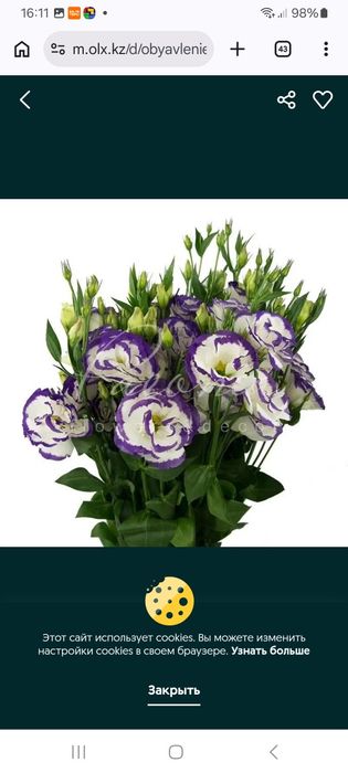 Рассада Эустомы / цветы / декор / сад