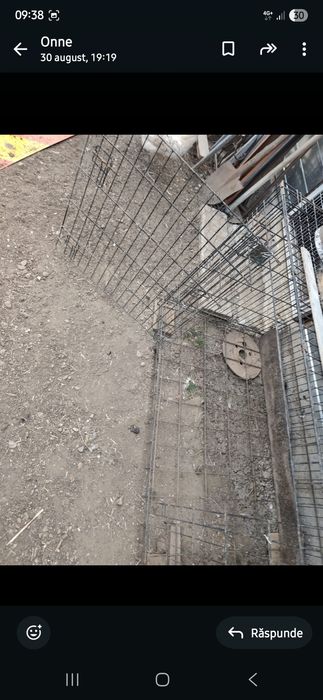 Cusca animale pasari