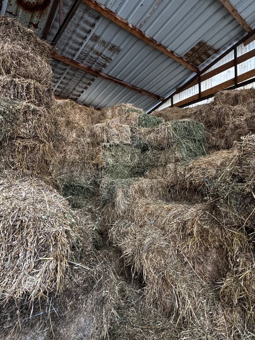 Baloti de lucerna si paie