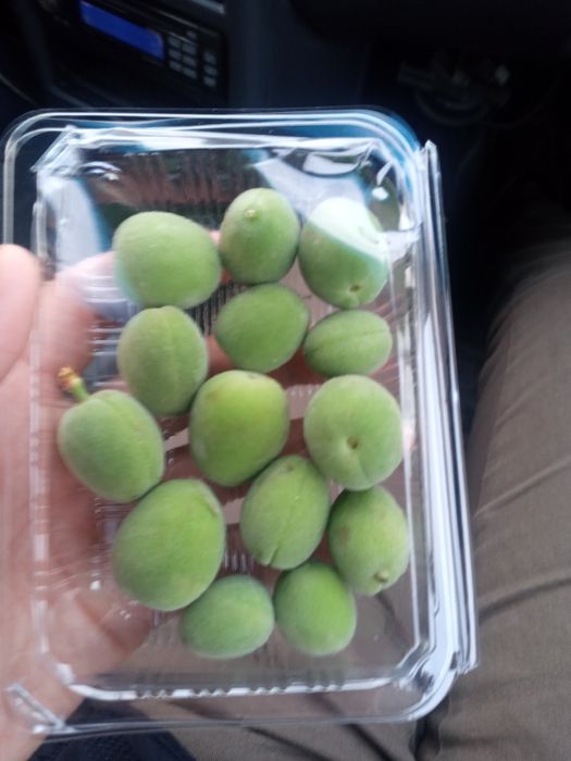 Dovcha svejisi bor 100 grami 50min som