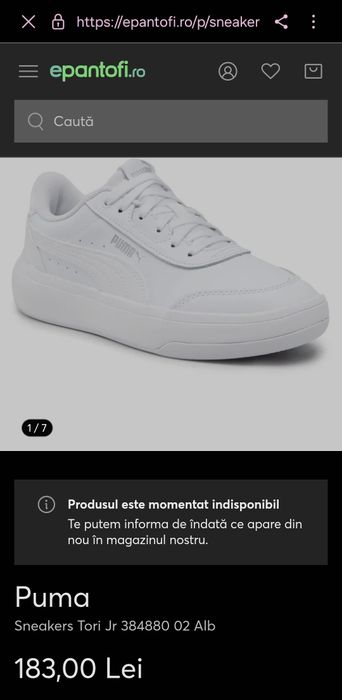 Pantofi puma purtati