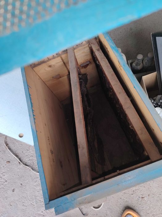 Улики для пчёл разных размеров